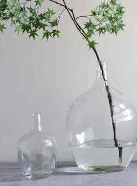 细口小口大肚玻璃花瓶 吊钟马醉木插花水培落地大号花器 简略透明