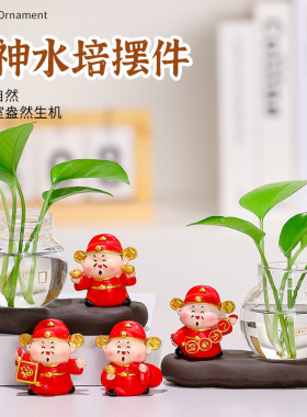 财神水培桌面绿萝养殖装饰摆件