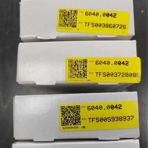 6040.0042 赛默飞Thermo UltiMate3000柱塞杆蓝宝石