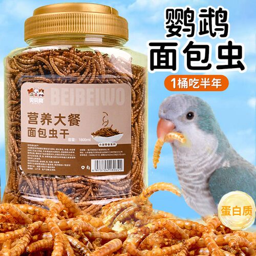 2026新款鹦鹉面包虫干奖励零食和尚鹦鹉八哥虎皮玄凤小太阳专用鸟