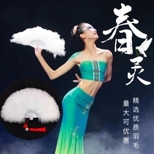 桃李杯春灵舞蹈羽毛扇子傣族舞蹈道具羽毛扇子儿童扇演出表演道具