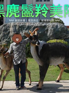 真黑麂鬣羚雕塑 玻璃钢黄腹角雉白鹇鸟摆件 动物园林景观装饰品