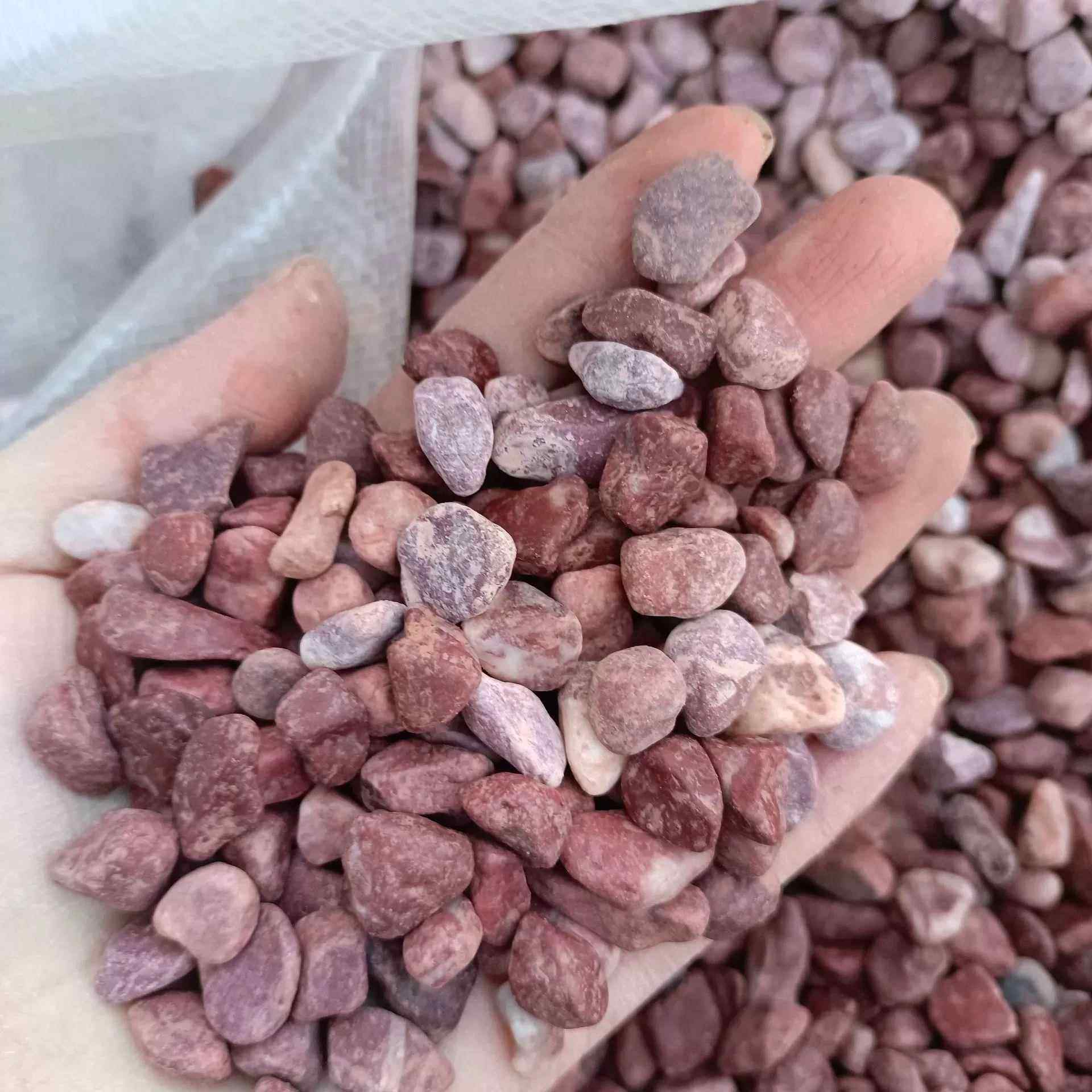 石子胭脂红水洗石水磨石子地坪装饰园艺铺面鱼缸造景装饰红石子