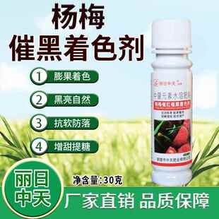 杨梅催黑着色剂杨梅着色叶面肥加快转色催黑膨大增甜黑的自然防软