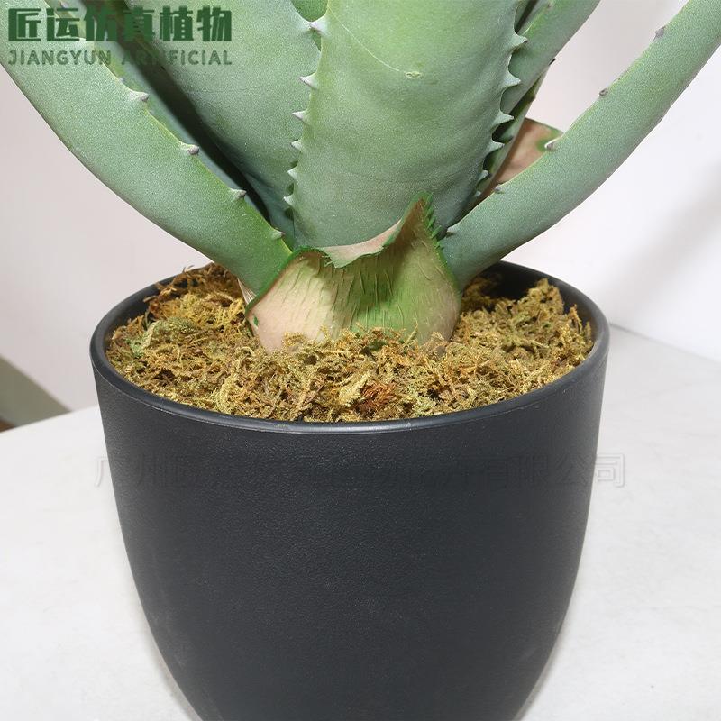 仿真大芦荟绿植盆栽假多肉植物家居客厅酒店装饰摆件手感芦荟盆景