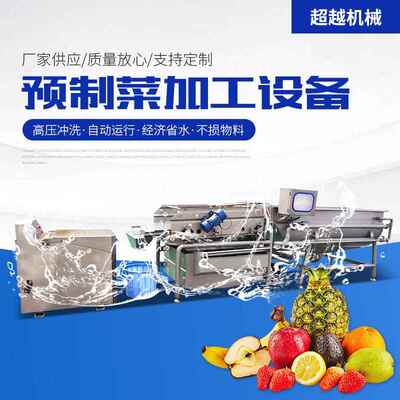 EIS蔬涡流净成菜加工清洗流水线果蔬清洗套设备厨房菜清洗