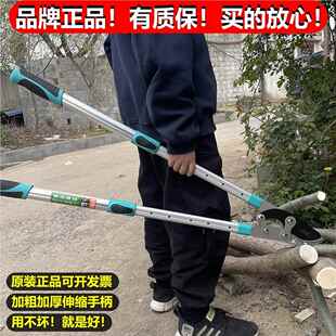 剪树枝专用剪刀修剪粗枝大剪刀果树修枝大力剪强力剪子艺园林工具