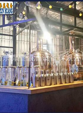 酒店自酿啤酒机 300升啤酒设备 不锈钢原浆啤酒 304精酿啤酒设备