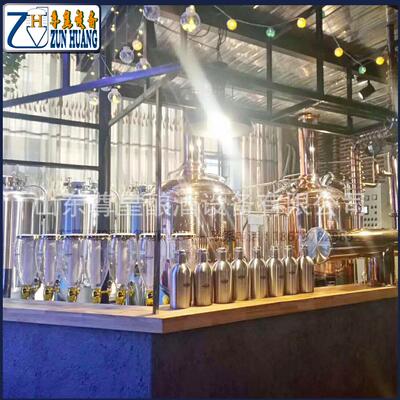 酒店自酿啤酒机 300升啤酒设备 不锈钢原浆啤酒 304精酿啤酒设备