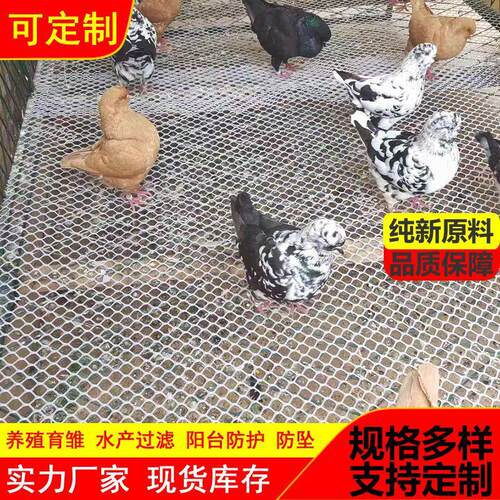 厂家供应塑网阳台防坠鸡网垫板鸭育雏漏粪脚垫水产雏养殖nb2024料