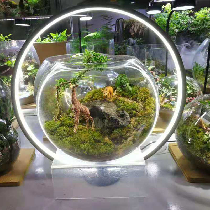 景观led补鱼缸灯灯植物水族微光灯水草 彩虹 灯景观水草迷你