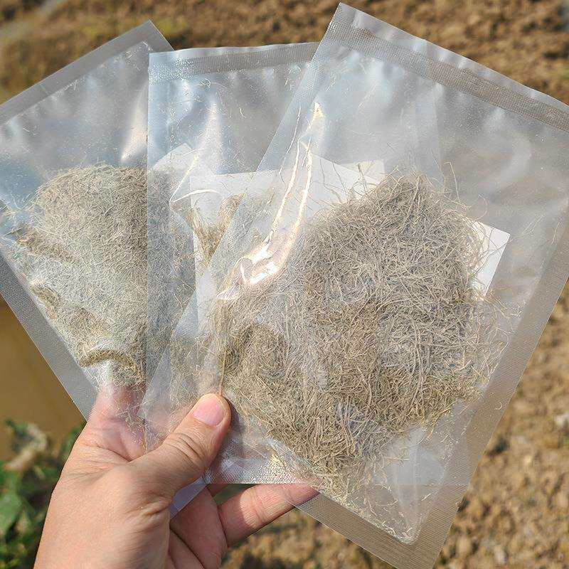 鼎钓龙国产昆布丝极硬海带泥拉拉糊水母状态粉罗非鱼饵黑坑滑口鱼