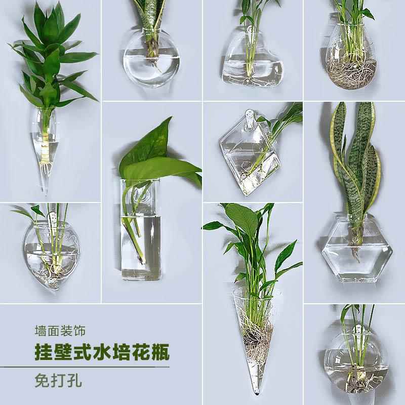 创意墙上悬挂小花瓶贴墙水培植物玻璃瓶透明绿萝壁挂花瓶挂墙花盆