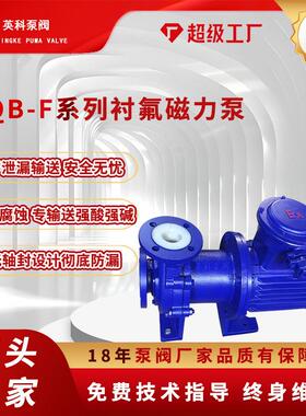 衬氟磁力泵CQB50-40-160F耐酸碱铸铁衬氟塑料化工防爆变频耐腐蚀
