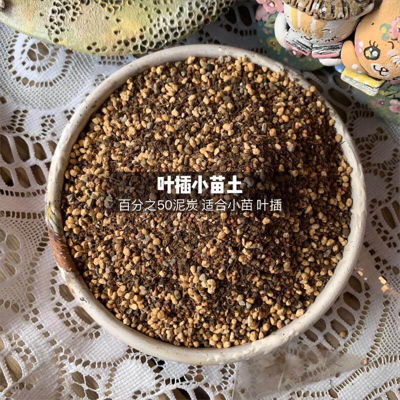 屁姐真土小苗土2L多肉植物专用颗粒营养种植花土进口植材