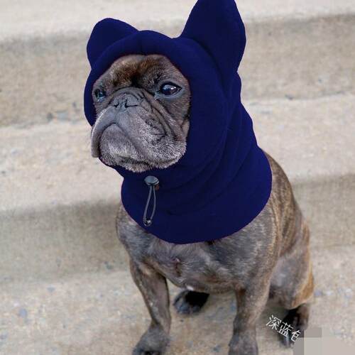 Dog Warmth Pet Cute Hat Hoodie Pet Supplies Shake Fleece