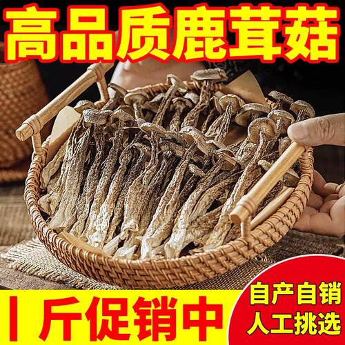 2024新货鹿茸菇干 干货装鹿茸菌特级古田特产菇煲汤材香菇俏美味