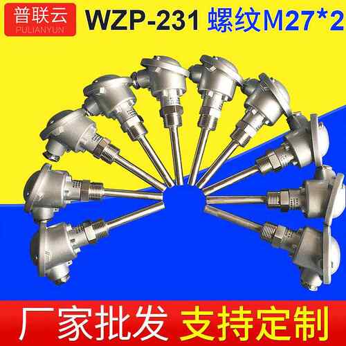 防腐PT100温度传感器铂热电阻 氨制冷系统耐酸碱感温探头