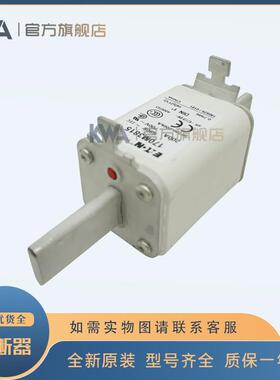 快速保险丝熔断器170m3814 3815 3816 3817 3818 3819陶瓷保险丝