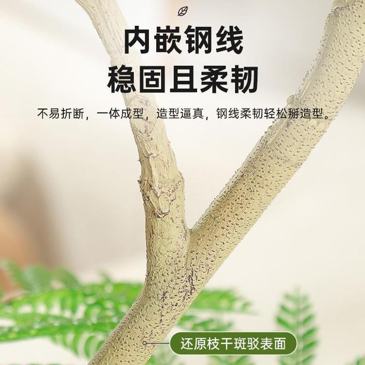 蓝花楹绿植轻地发奢客厅沙电视柜落摆ltao1008件大型盆假树栽植物