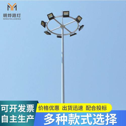 各种定制道路照明灯LED带自动升降式杆灯15米市政广场中杆灯
