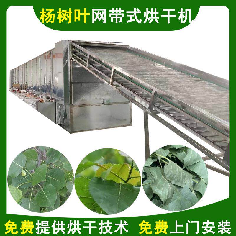 杨树叶烘干机带式杨树叶干燥机连续式网带烘干机厂家
