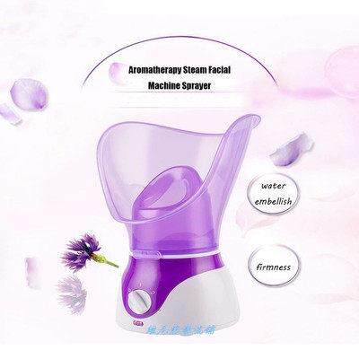 facial steam steamer hot spray steaming face instrumen蒸脸器