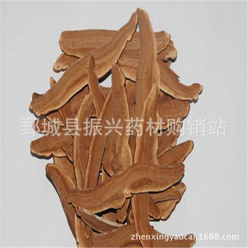 灵芝片 振兴中药 中药材供应 灵芝片统货