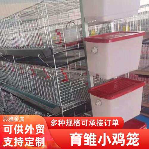 雏鸡笼小鸡笼育雏笼立式四层叠养殖场鸡舍大棚养殖粪盘水箱设备