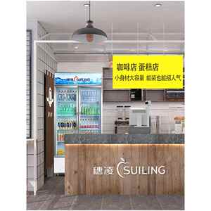 穗凌立式冷柜 LG4-900M2/W风冷无霜保鲜冰柜 双门饮料冷藏展示柜