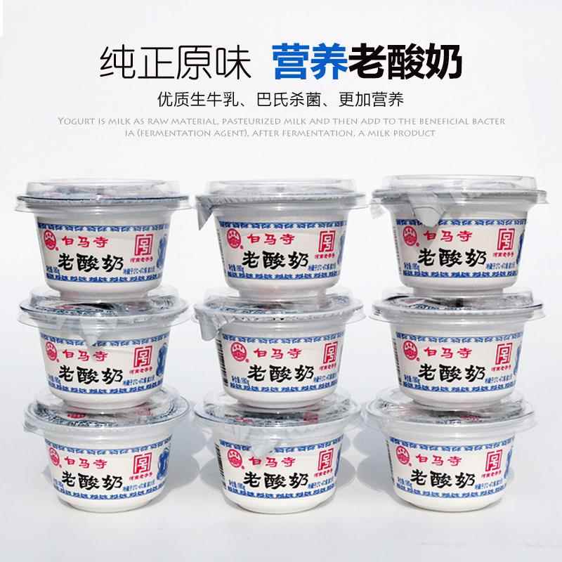 白马寺老酸奶全脂风味酸牛奶河南老款浓稠固体益生菌发酵乳160g碗