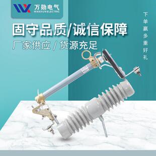 200A 上海万勋RW12 100 熔断器令克保险 10kv户外高压跌落式
