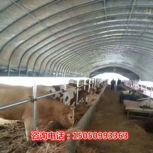 大棚钢管骨架养殖鸡鸭鹅猪牛羊大棚全套种植家用温室大棚