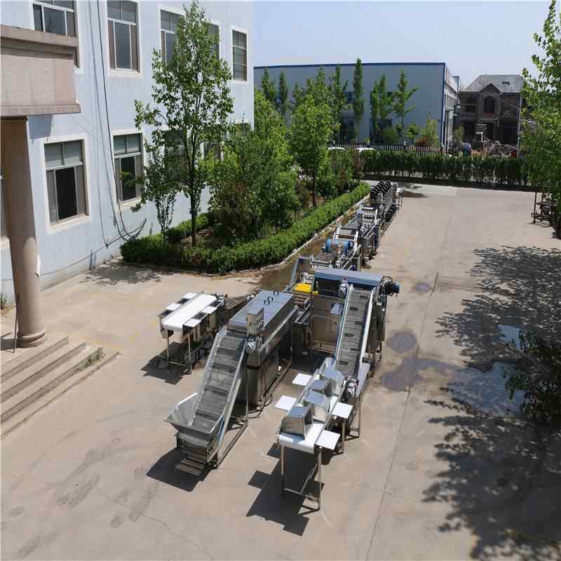 厂家供应净菜配送加工设备商用蔬菜清洗机免费安装调试耐用