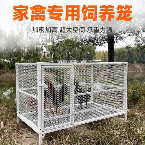 鸡笼子养殖笼鸭鹅笼大号特大鸽子兔子笼鸡舍户外铁丝网家用养鸡笼