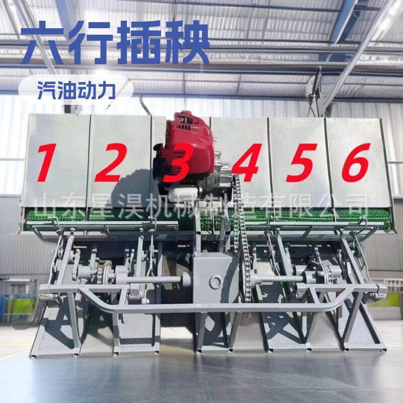 柴油款电启动6行手动水稻插秧机手扶式人力秧苗栽植机不伤电动