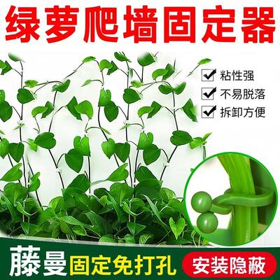 Green vine climbing tool, plant vine fixator, green plant cl