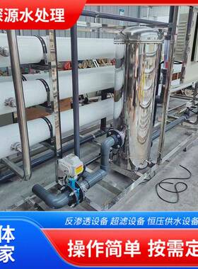 RO反渗透纯水设备大型去离子水处理一体机净化水设备除设备