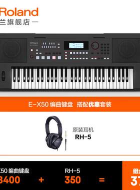 罗兰（Roland）E-X50 编曲电子琴专业舞台演出 成人演奏61键带自