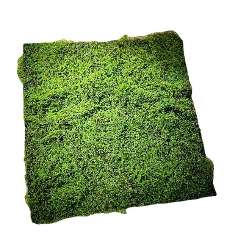 轻奢仿真苔藓草坪人造草坪仿生绿地造景打底配件青苔植物墙装饰