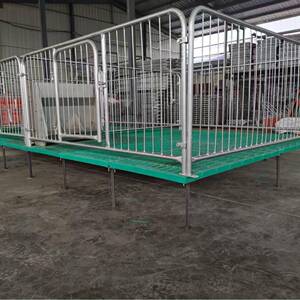 现货小猪保育床猪仔热镀锌挡板全复合板加厚保育床猪产床养殖设备