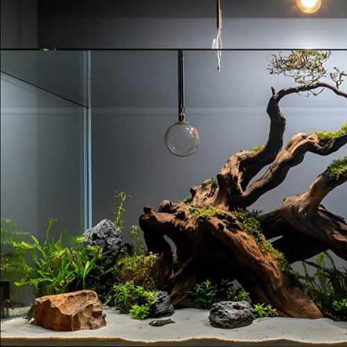 鱼缸沉木水池造景40-80缸紫柚木南美风树桩飘枝水族装饰沉木