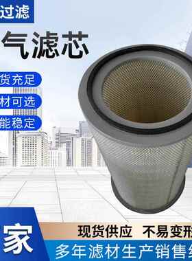 厂家货源直供各种空气滤芯AF25443/600-181-16430/4206098