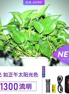 高档在路上M3 PRO-2迷你强光US手电筒身可充B电手电筒户防外防水l