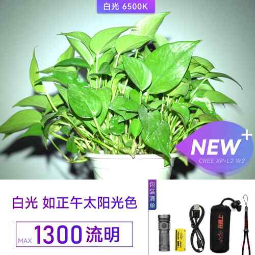 高档在路上M3 PRO-2迷你强光US手电筒身可充B电手电筒户防外防水l