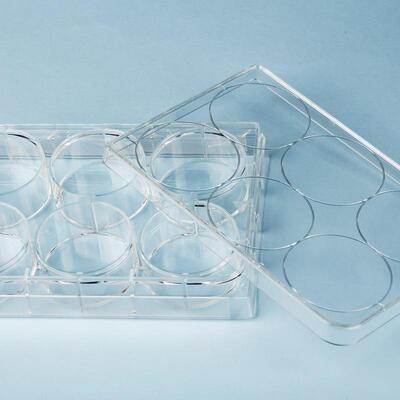 VIRYA细胞培养板等离子处理12孔板PS材质无热源无内毒素3511209