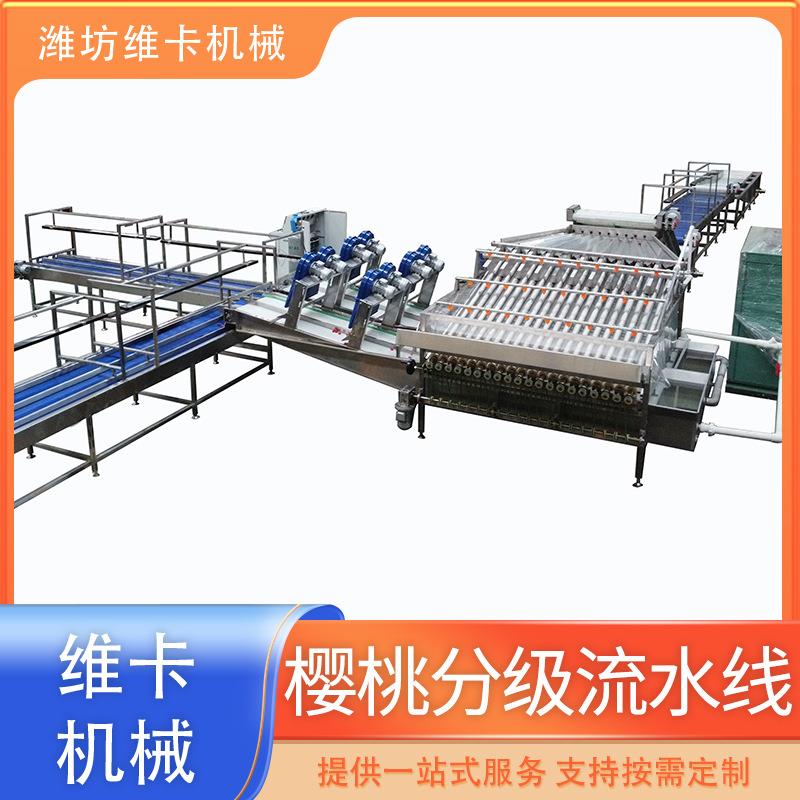 冬枣金桔选果机水果直径分级机樱桃分选机小柿子山楂分拣机