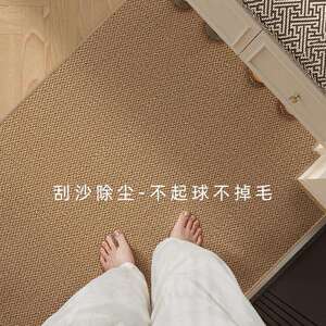 仿剑麻入户门地垫可裁剪可机洗地毯2025新款门口进门脚垫家纺家饰