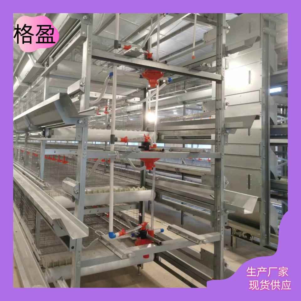 H型青年鸡笼立式养殖场自动化养殖设备养鸡笼鸽子笼鹌鹑笼