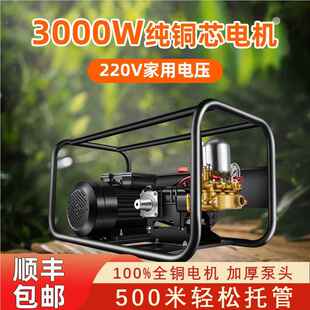 大功率果园喷农药三缸柱塞泵 220V电动打药机高压农用喷雾神器新款